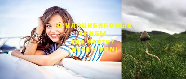 эйфоретик Алзамай