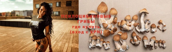 дурь Балахна