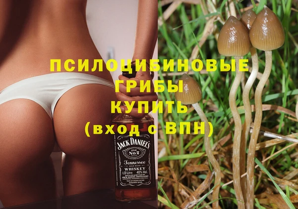 apvp Алексин