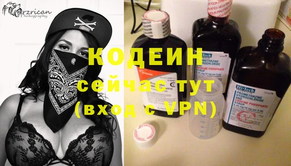 эйфоретик Алзамай