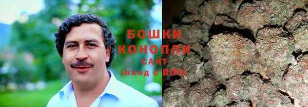 прущие грибы Аркадак