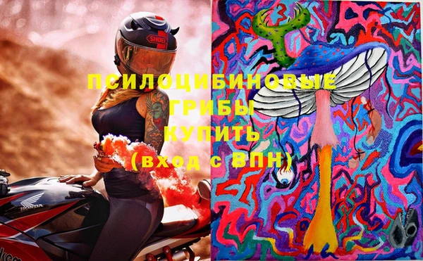 PSILOCYBIN Алексеевка