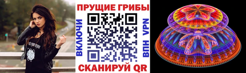 Купить где  Салехард  Галлюциногенные грибы ЛСД 